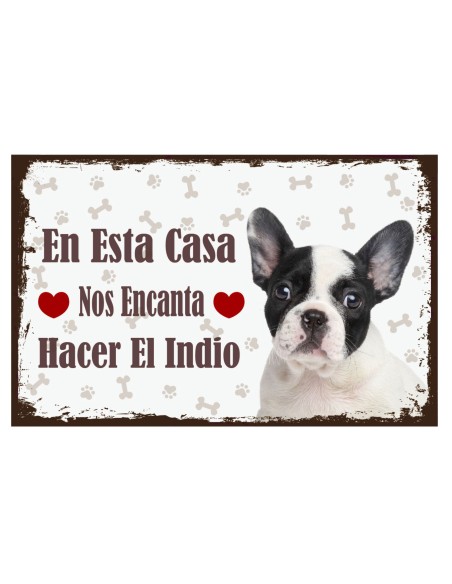 CARTELES ALUMINIO PERROS Y GATOS CON MENSAJE 22x14 CM. 32 MOD.