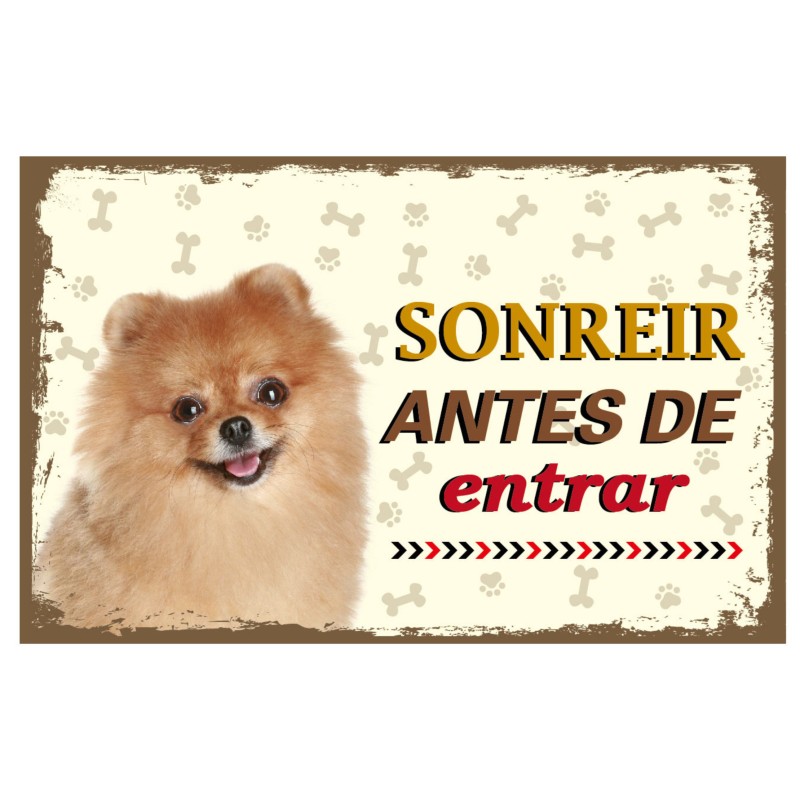 CARTELES ALUMINIO PERROS Y GATOS CON...