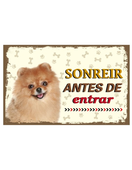 CARTELES ALUMINIO PERROS Y GATOS CON MENSAJE 22x14 CM. 32 MOD.