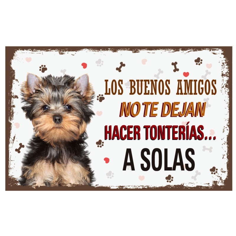 CARTELES ALUMINIO PERROS Y GATOS CON...