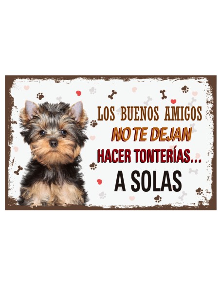 CARTELES ALUMINIO PERROS Y GATOS CON MENSAJE 22x14 CM. 32 MOD.