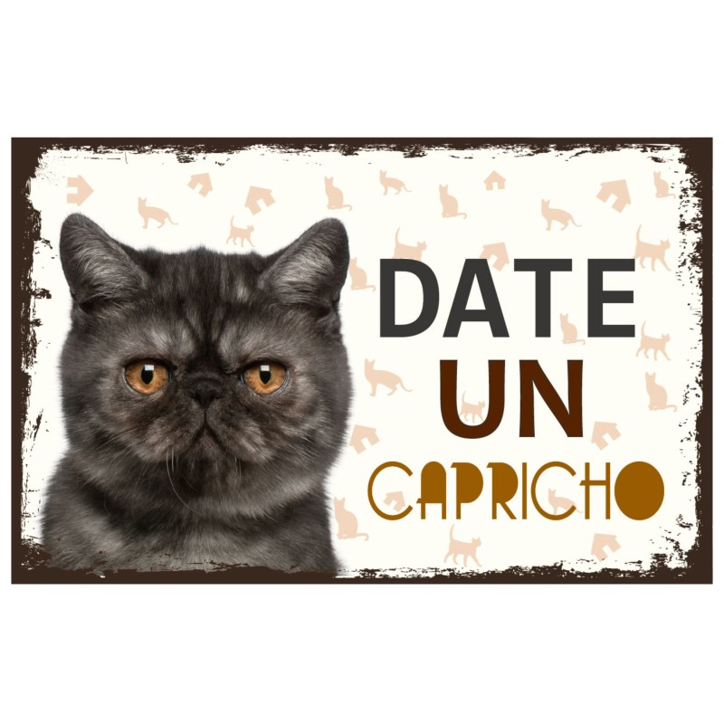 CARTELES ALUMINIO PERROS Y GATOS CON...