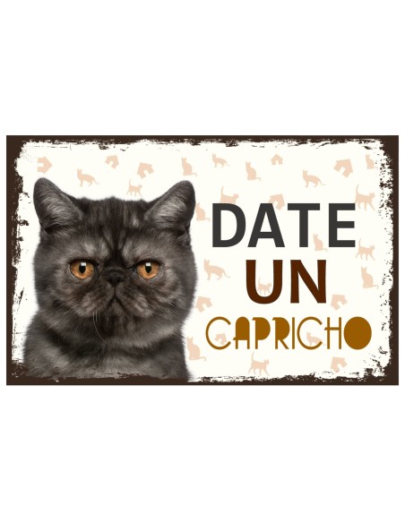 CARTELES ALUMINIO PERROS Y GATOS CON MENSAJE 22x14 CM. 32 MOD.