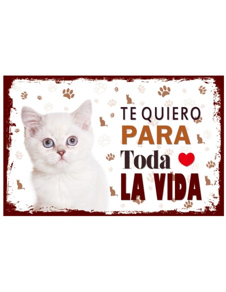 CARTELES ALUMINIO PERROS Y GATOS CON MENSAJE 22x14 CM. 32 MOD.