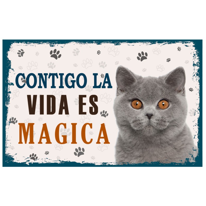 CARTELES ALUMINIO PERROS Y GATOS CON...