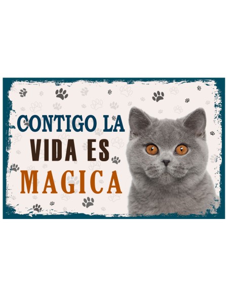 CARTELES ALUMINIO PERROS Y GATOS CON MENSAJE 22x14 CM. 32 MOD.