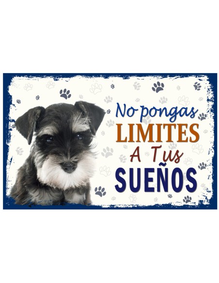 CARTELES ALUMINIO PERROS Y GATOS CON MENSAJE 22x14 CM. 32 MOD.